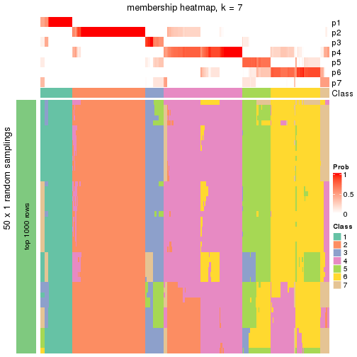 plot of chunk tab-node-0-membership-heatmap-6