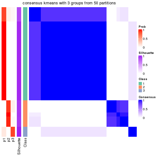 plot of chunk tab-node-01-consensus-heatmap-2