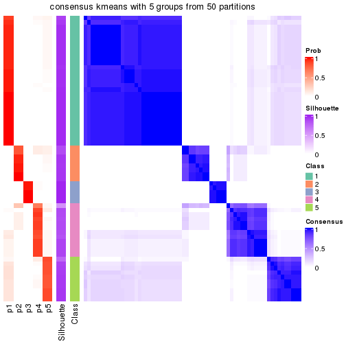 plot of chunk tab-node-01-consensus-heatmap-4