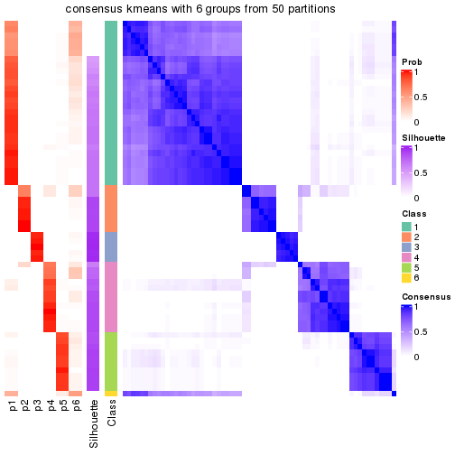 plot of chunk tab-node-01-consensus-heatmap-5