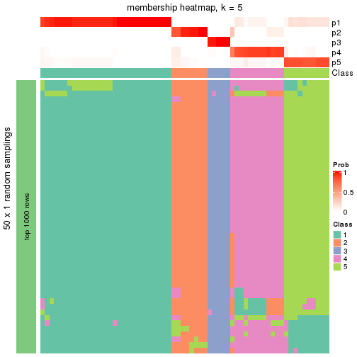 plot of chunk tab-node-01-membership-heatmap-4