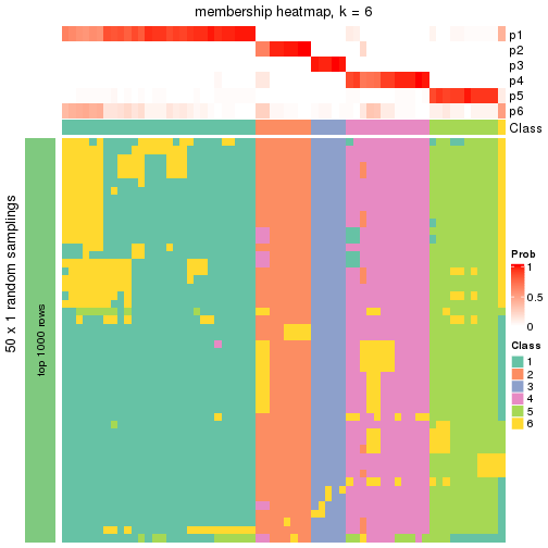 plot of chunk tab-node-01-membership-heatmap-5