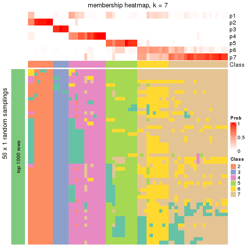 plot of chunk tab-node-01-membership-heatmap-6