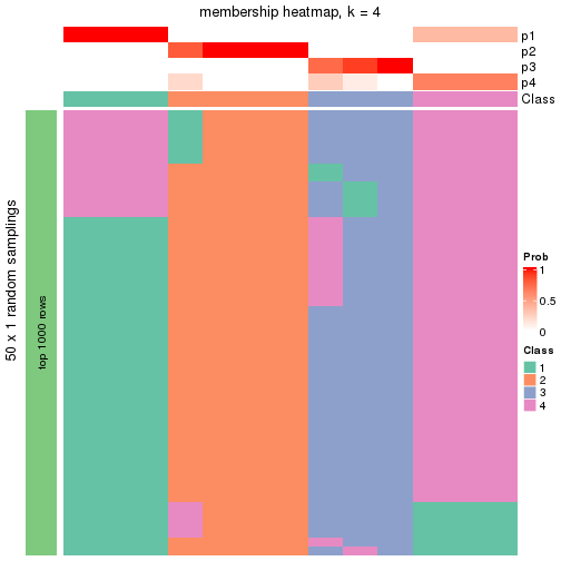 plot of chunk tab-node-012-membership-heatmap-3