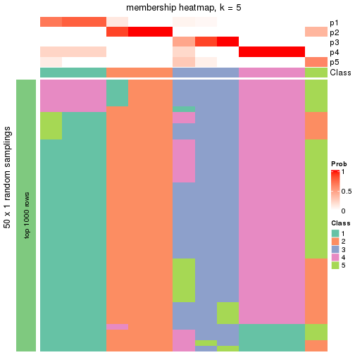 plot of chunk tab-node-012-membership-heatmap-4