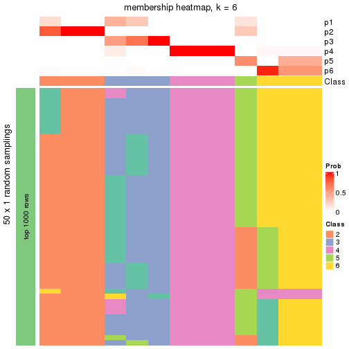 plot of chunk tab-node-012-membership-heatmap-5