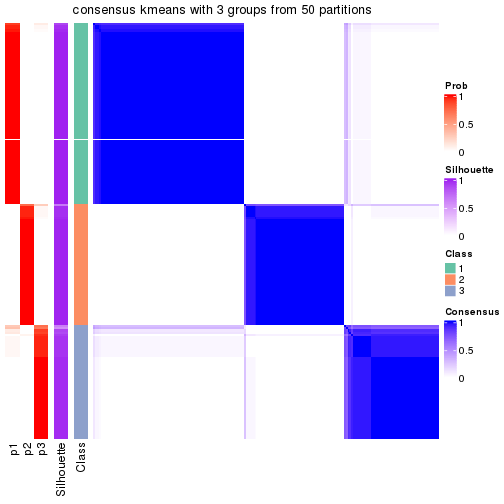 plot of chunk tab-node-02-consensus-heatmap-2