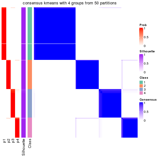 plot of chunk tab-node-02-consensus-heatmap-3