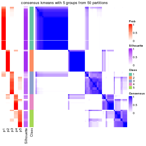 plot of chunk tab-node-02-consensus-heatmap-4