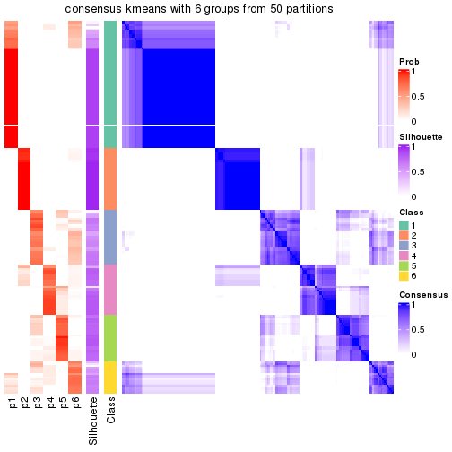 plot of chunk tab-node-02-consensus-heatmap-5