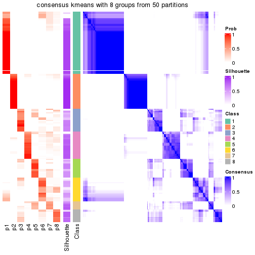 plot of chunk tab-node-02-consensus-heatmap-7