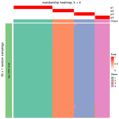 plot of chunk tab-node-02-membership-heatmap-3