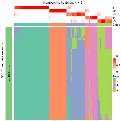 plot of chunk tab-node-02-membership-heatmap-4