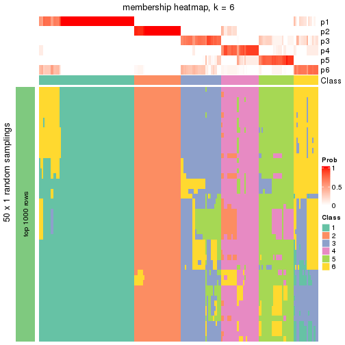 plot of chunk tab-node-02-membership-heatmap-5