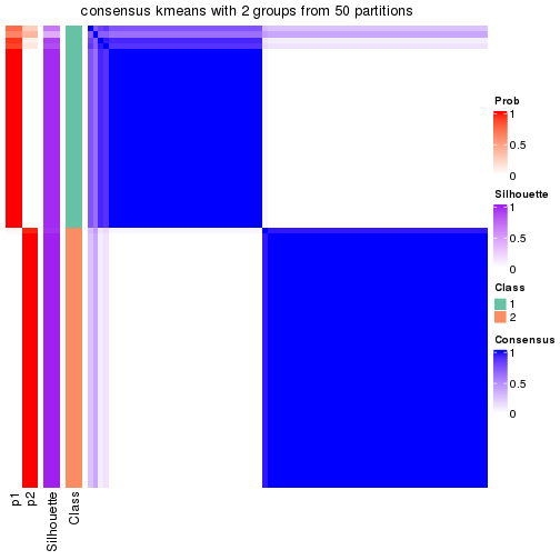 plot of chunk tab-node-021-consensus-heatmap-1