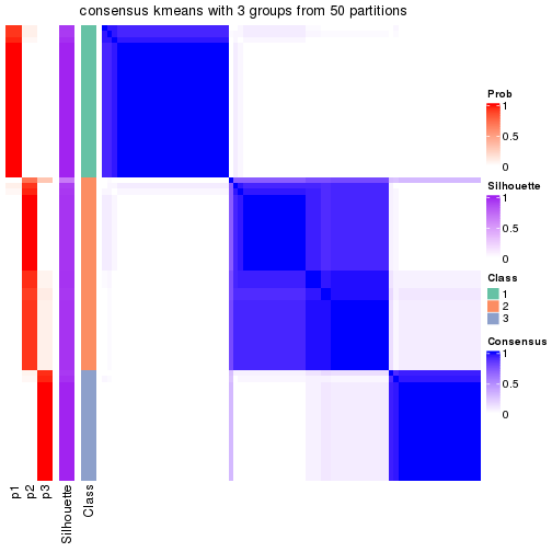 plot of chunk tab-node-021-consensus-heatmap-2