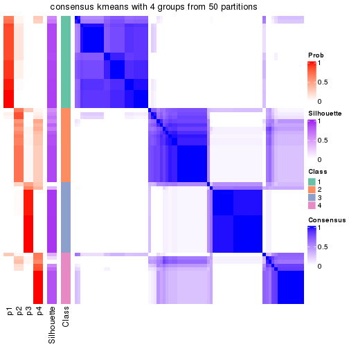 plot of chunk tab-node-021-consensus-heatmap-3