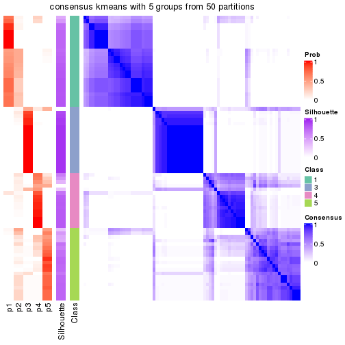 plot of chunk tab-node-021-consensus-heatmap-4