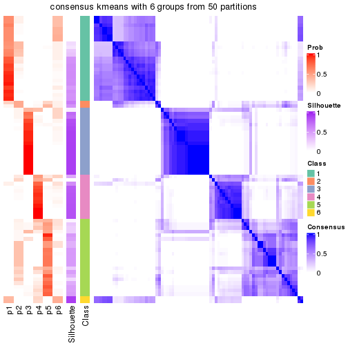 plot of chunk tab-node-021-consensus-heatmap-5