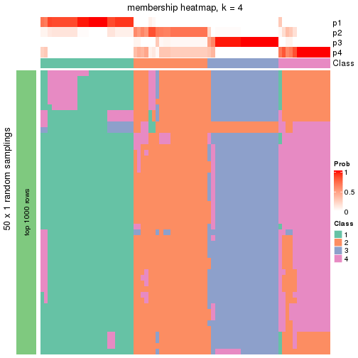 plot of chunk tab-node-021-membership-heatmap-3