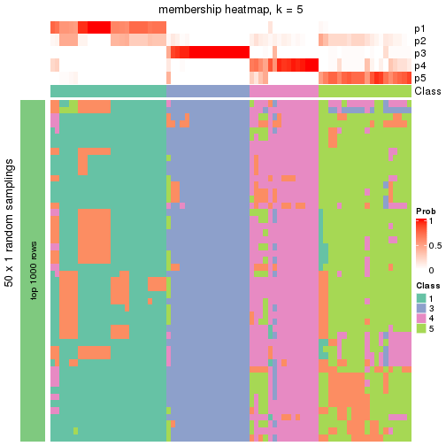 plot of chunk tab-node-021-membership-heatmap-4