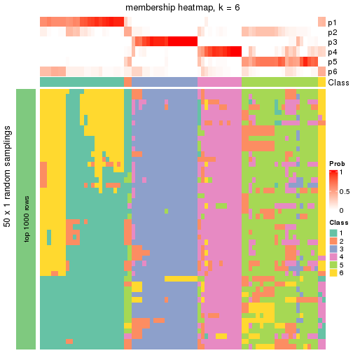 plot of chunk tab-node-021-membership-heatmap-5