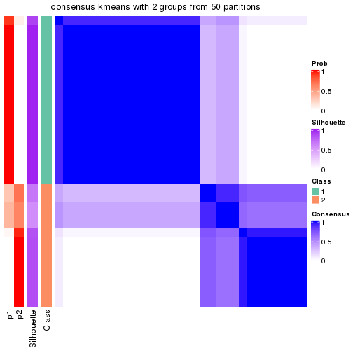 plot of chunk tab-node-0212-consensus-heatmap-1