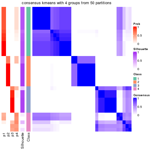 plot of chunk tab-node-0212-consensus-heatmap-3