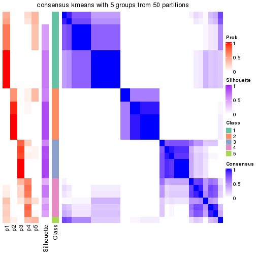 plot of chunk tab-node-0212-consensus-heatmap-4