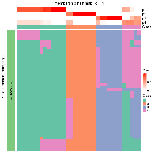 plot of chunk tab-node-0212-membership-heatmap-3