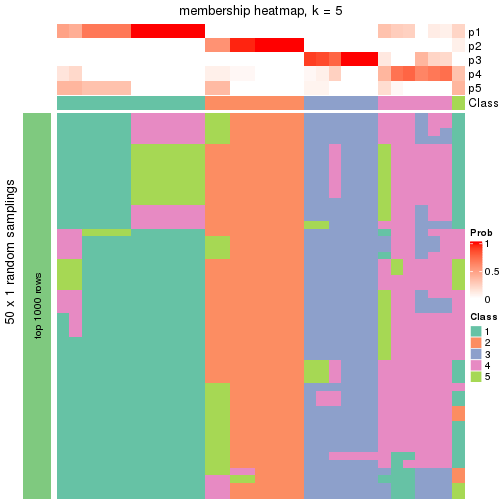 plot of chunk tab-node-0212-membership-heatmap-4