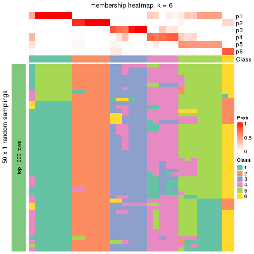 plot of chunk tab-node-0212-membership-heatmap-5