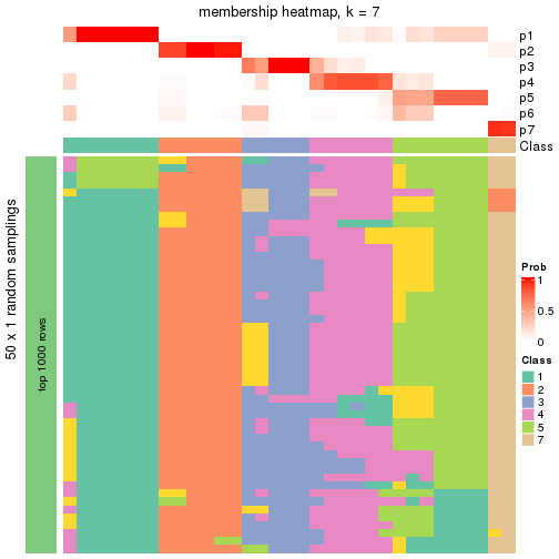 plot of chunk tab-node-0212-membership-heatmap-6