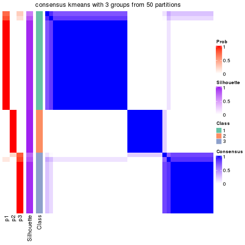 plot of chunk tab-node-022-consensus-heatmap-2