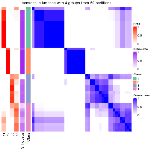 plot of chunk tab-node-022-consensus-heatmap-3