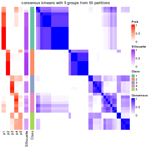 plot of chunk tab-node-022-consensus-heatmap-4