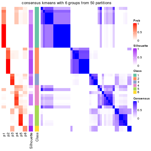 plot of chunk tab-node-022-consensus-heatmap-5