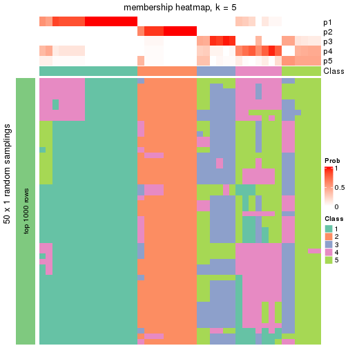 plot of chunk tab-node-022-membership-heatmap-4