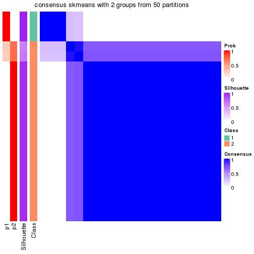 plot of chunk tab-node-0221-consensus-heatmap-1