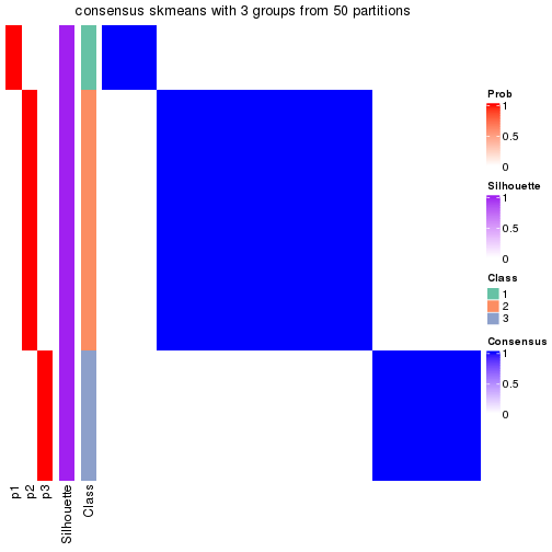 plot of chunk tab-node-0221-consensus-heatmap-2