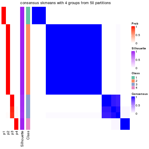 plot of chunk tab-node-0221-consensus-heatmap-3