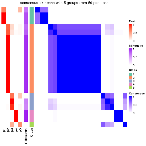 plot of chunk tab-node-0221-consensus-heatmap-4