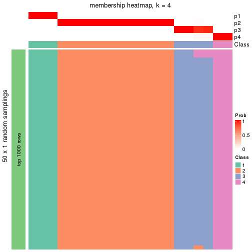 plot of chunk tab-node-0221-membership-heatmap-3