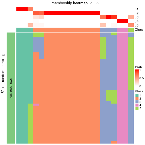 plot of chunk tab-node-0221-membership-heatmap-4