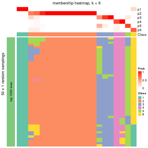 plot of chunk tab-node-0221-membership-heatmap-5