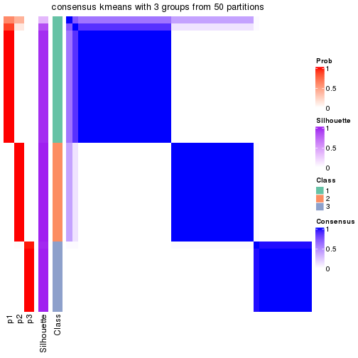 plot of chunk tab-node-023-consensus-heatmap-2