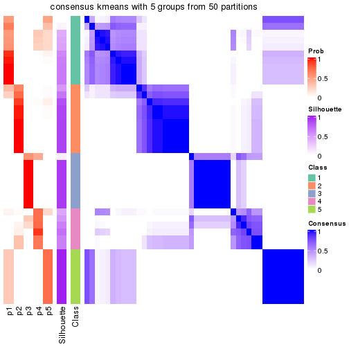 plot of chunk tab-node-023-consensus-heatmap-4