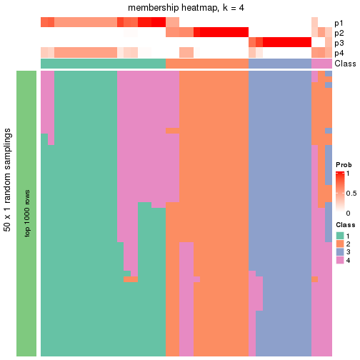 plot of chunk tab-node-023-membership-heatmap-3