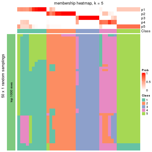 plot of chunk tab-node-023-membership-heatmap-4