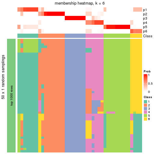 plot of chunk tab-node-023-membership-heatmap-5